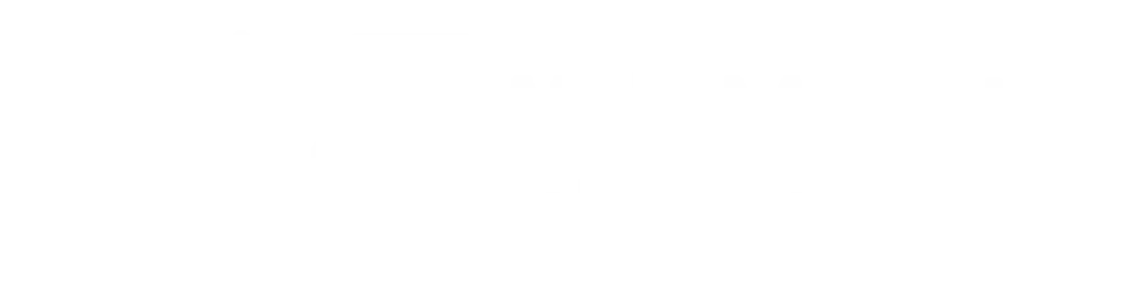 Web Maestro Solutions Logo